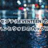 セブチ(SEVENTEEN)のジョンハンとウォヌのカップル名は？