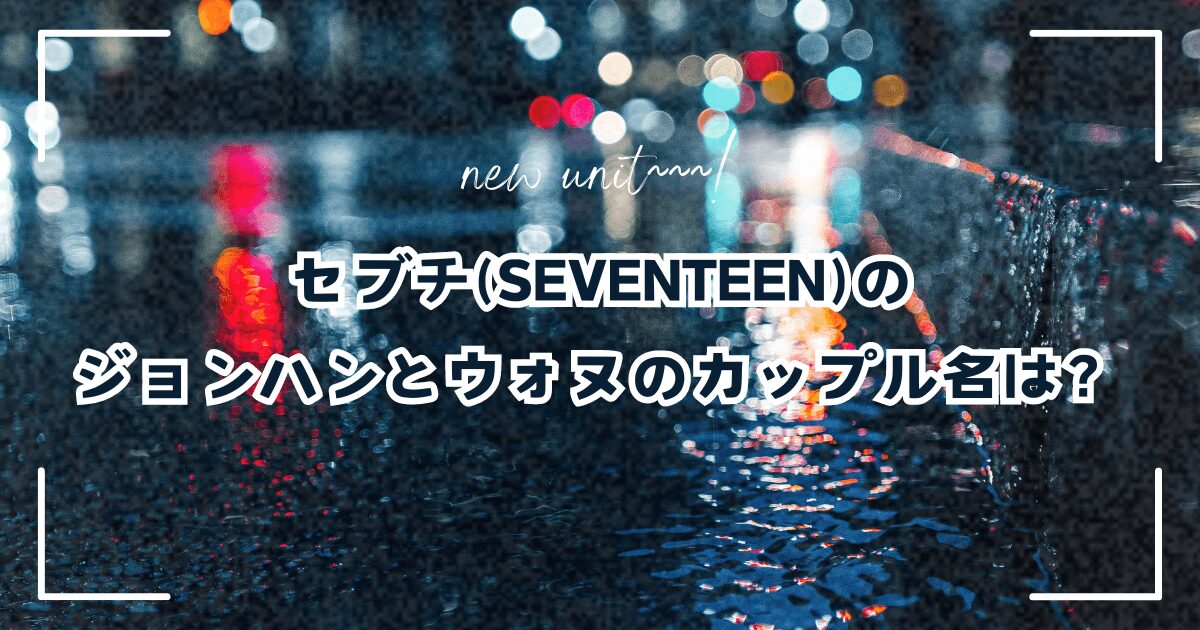 セブチ(SEVENTEEN)のジョンハンとウォヌのカップル名は？